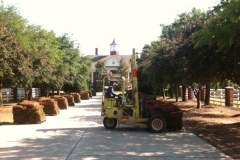 justice-fescue-delivery