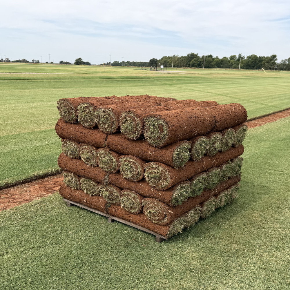 【10230】 Grass Roots SGB-550 LADIES ROOM 9 Iron® Astro™ Bermuda - Sod By Sherry® Inc.